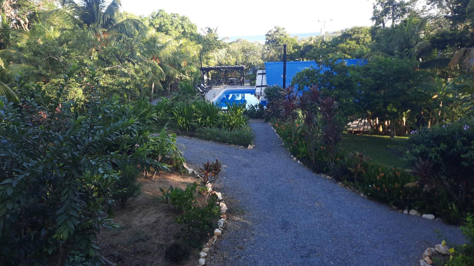 Guava Grove Resort & Villas Sandy Bay Exterior photo