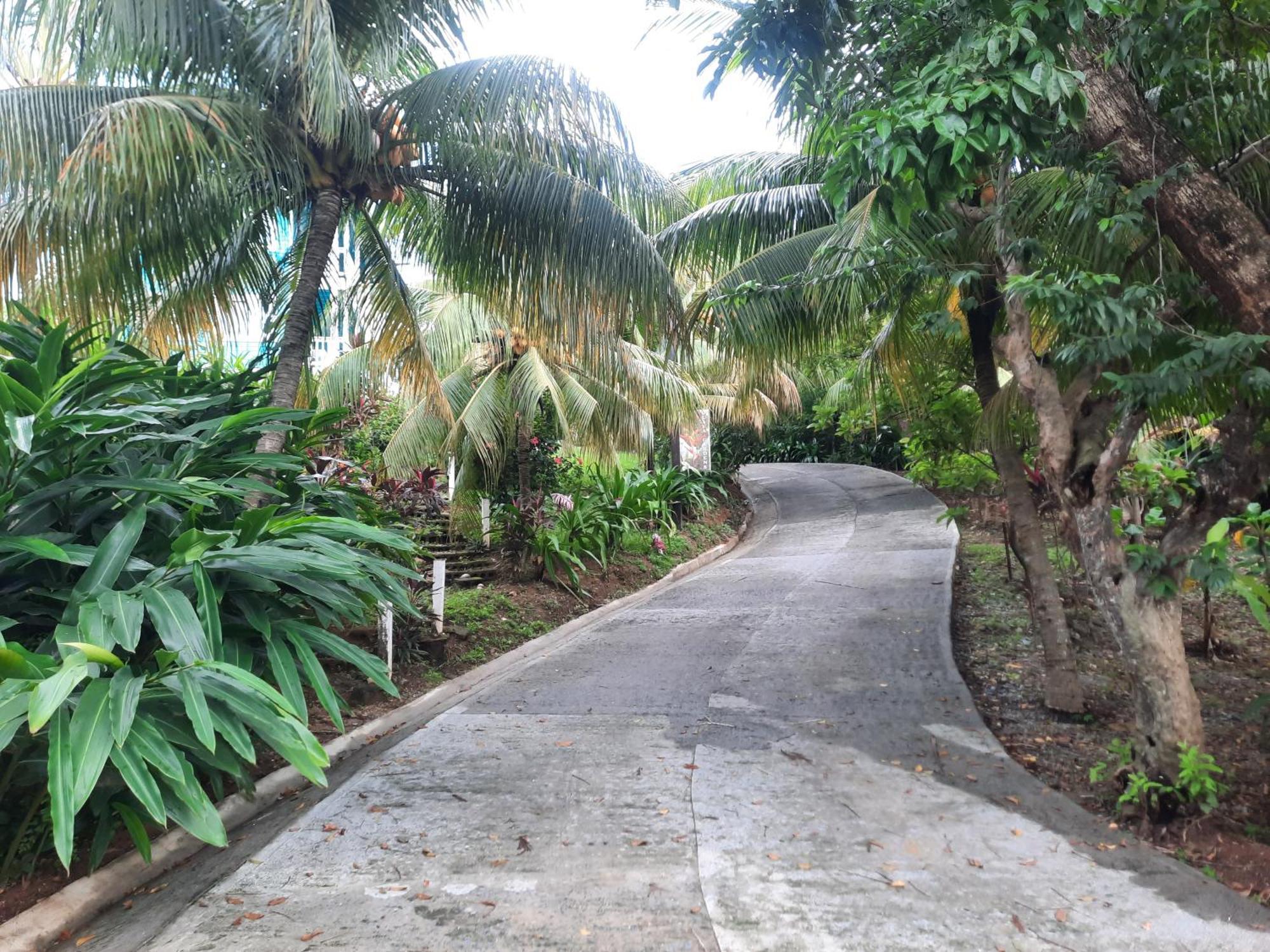 Guava Grove Resort & Villas Sandy Bay Exterior photo